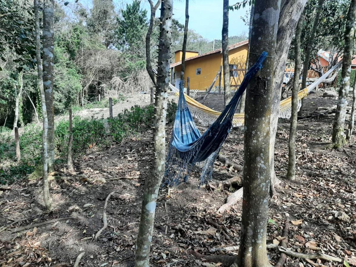 Casa Kiiro, Um Ambiente Tranquilo E De Sossego. Βίλα Santo Antônio do Pinhal Εξωτερικό φωτογραφία