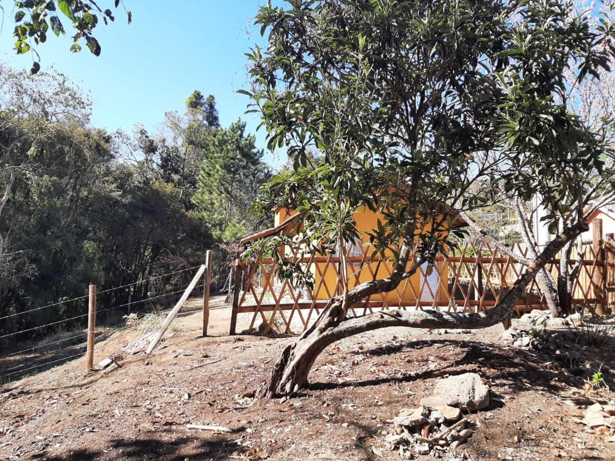 Casa Kiiro, Um Ambiente Tranquilo E De Sossego. Βίλα Santo Antônio do Pinhal Εξωτερικό φωτογραφία